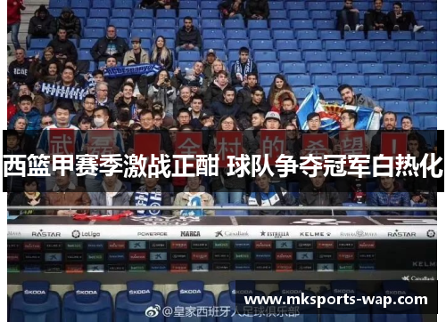 西篮甲赛季激战正酣 球队争夺冠军白热化