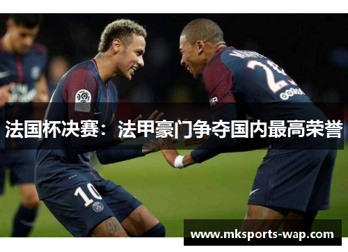 法国杯决赛：法甲豪门争夺国内最高荣誉