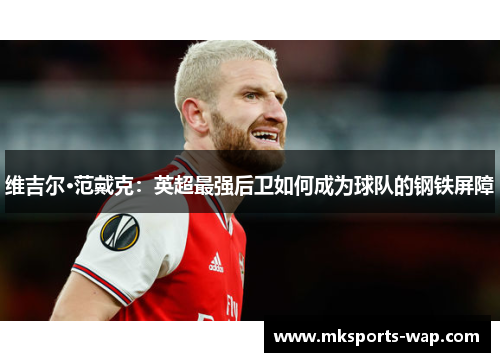 维吉尔·范戴克：英超最强后卫如何成为球队的钢铁屏障