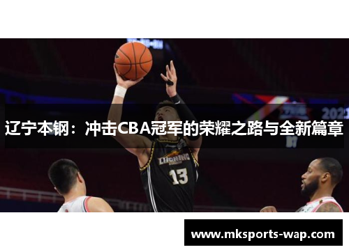 辽宁本钢：冲击CBA冠军的荣耀之路与全新篇章