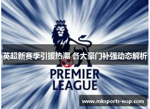 英超新赛季引援热潮 各大豪门补强动态解析