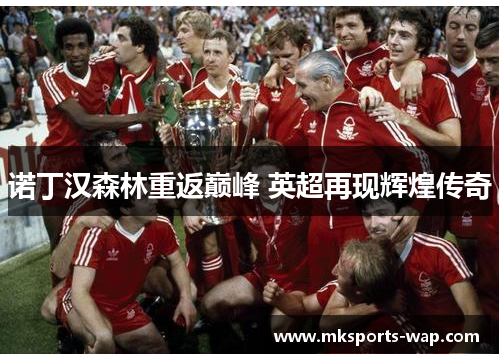 诺丁汉森林重返巅峰 英超再现辉煌传奇